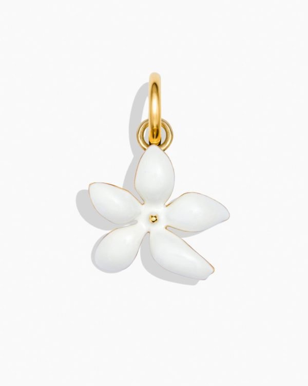Kit Blushing Jasmine - Imagem 11